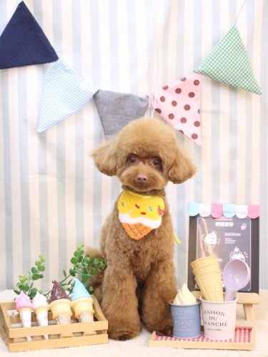 20250510くるるくん